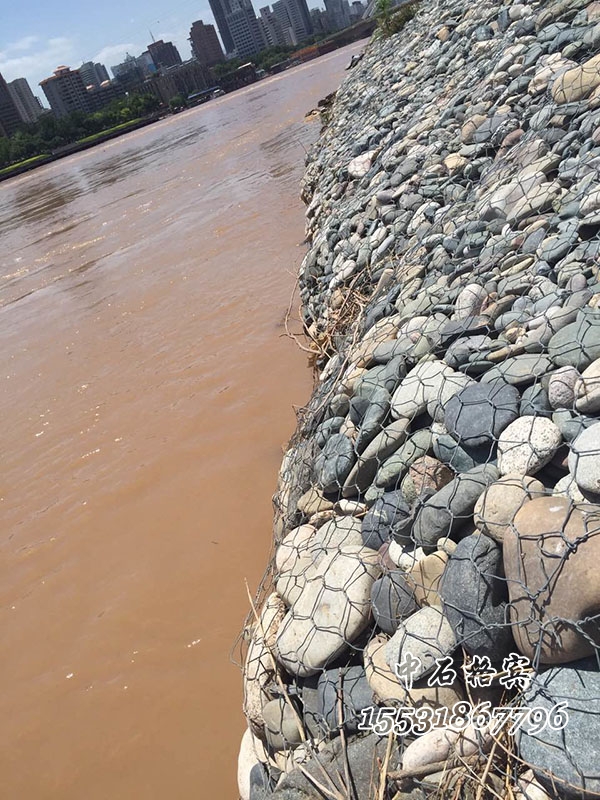 高爾凡雷諾護(hù)墊